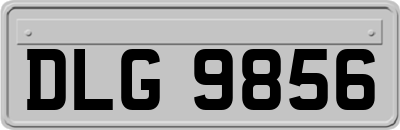 DLG9856