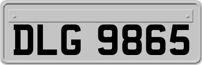 DLG9865