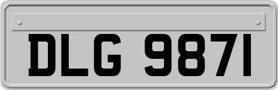 DLG9871