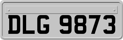 DLG9873