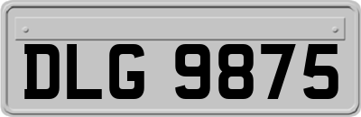 DLG9875