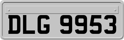 DLG9953