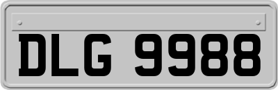 DLG9988