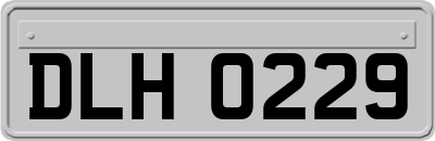 DLH0229