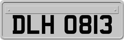 DLH0813