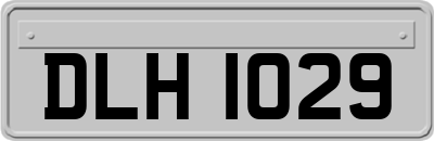 DLH1029
