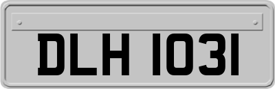 DLH1031