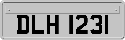 DLH1231