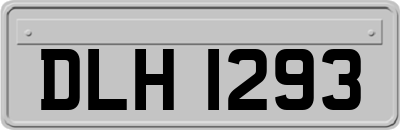 DLH1293
