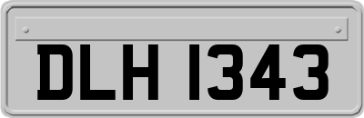 DLH1343