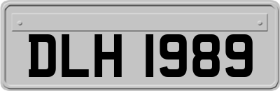 DLH1989