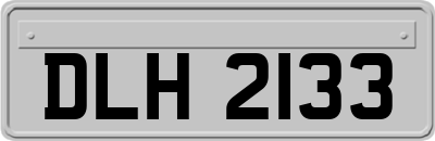 DLH2133