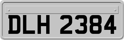 DLH2384