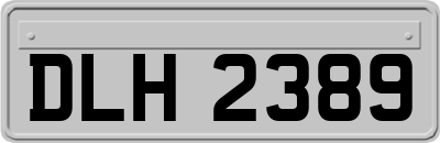 DLH2389