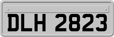 DLH2823
