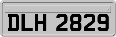 DLH2829