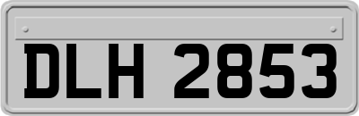 DLH2853