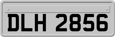 DLH2856