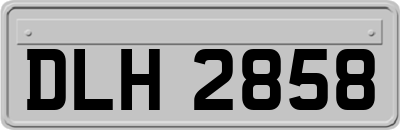 DLH2858