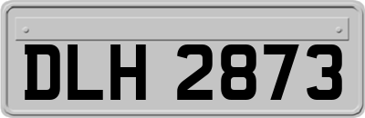 DLH2873
