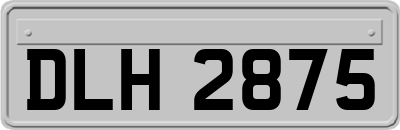 DLH2875