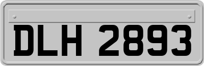 DLH2893