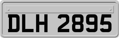 DLH2895
