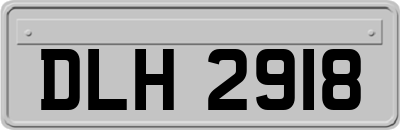 DLH2918