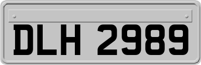 DLH2989