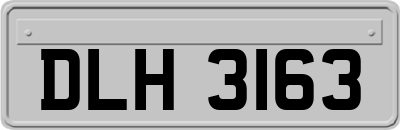 DLH3163