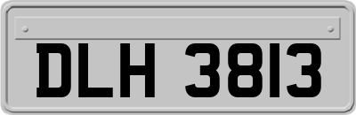 DLH3813