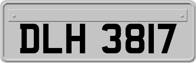 DLH3817