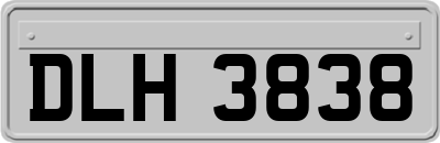 DLH3838