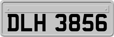 DLH3856
