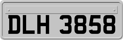 DLH3858