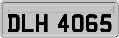 DLH4065