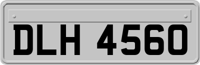 DLH4560