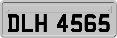 DLH4565