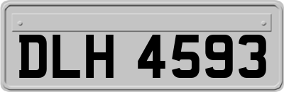 DLH4593