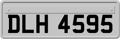 DLH4595