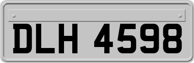 DLH4598