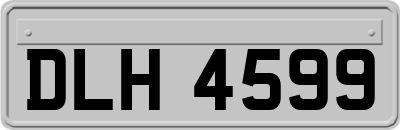 DLH4599