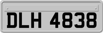 DLH4838