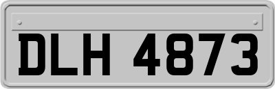 DLH4873
