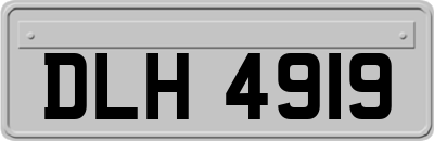 DLH4919