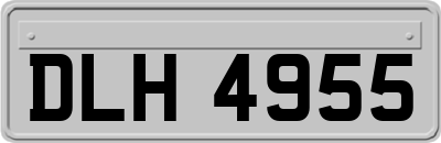 DLH4955