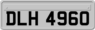 DLH4960