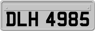 DLH4985