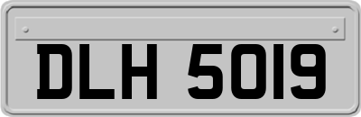 DLH5019