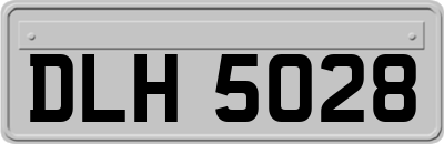 DLH5028